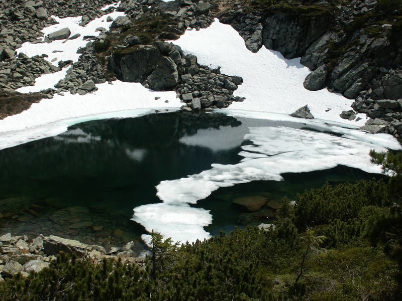 Datei:Obersee 5954 2004-06-27.jpg