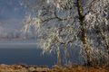 Putterersee - winter 17096 2013-12-23.jpg