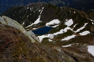 Riednersee-100-2020-06-12 (1).jpg