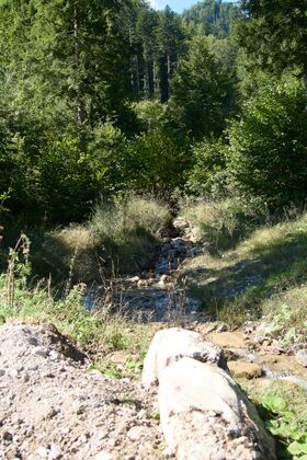 Schleierbach Pölzau-0166-2025-09-15.jpg