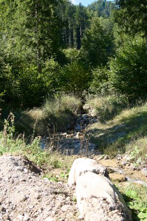 Schleierbach Pölzau-0166-2025-09-15.jpg