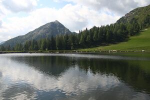 Speicherteich Reiteralmsee 65687 2014-06-27.jpg