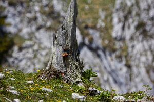 Untere koderboden-402-2020-05-18.jpg