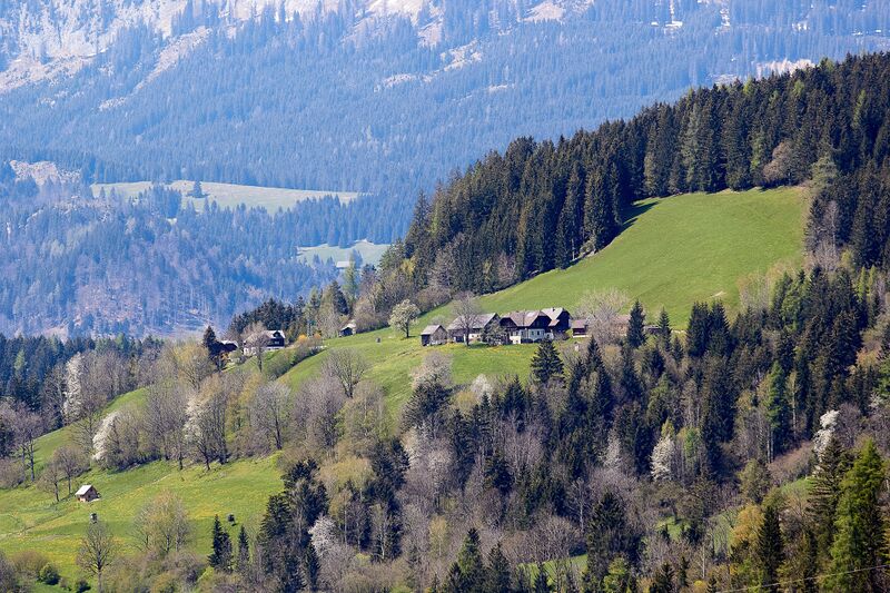 Datei:Vlg.kehl-vlg.gassner spiegelsberg 300384-2023-05-04.jpg