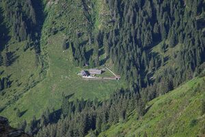 Winkleralm -nageleck 63898 2014-06-15.jpg
