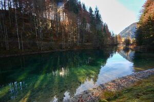 Almseeteich burgstaller 13960 2015-11-12.jpg