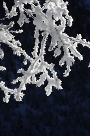 Bodensee 26594 2014-01-01.jpg