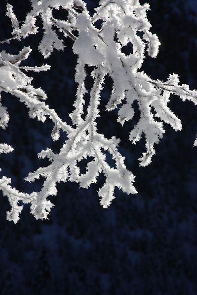 Datei:Bodensee 26594 2014-01-01.jpg