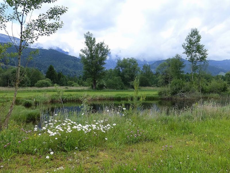 Datei:Ennsau Fischern1120633.JPG