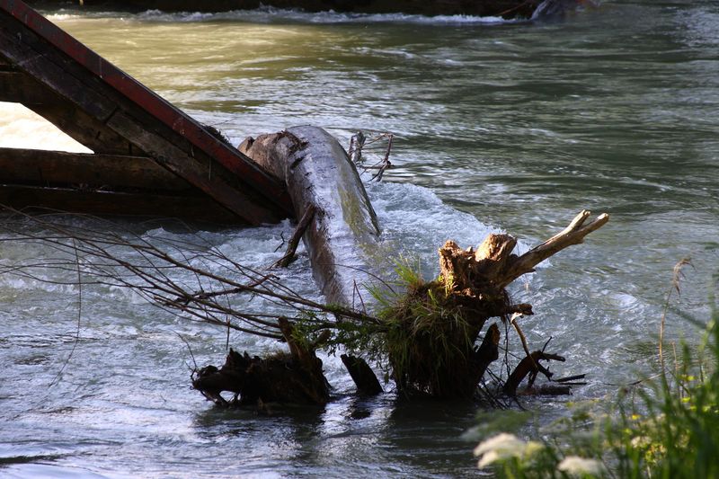 Datei:Ennsbrücke niederstuttern 58745 2014-05-26.jpg