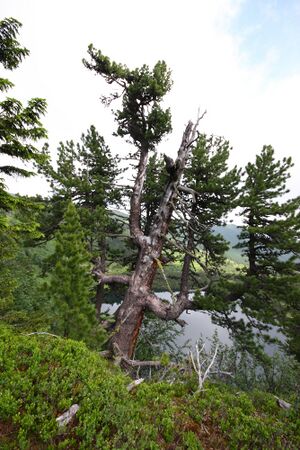 Finsterkarsee 1140 13-07-12.jpg