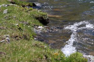 Giglachsee 1239 2011-06-22.jpg