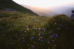 Glattjoch 1255 13-08-06.jpg