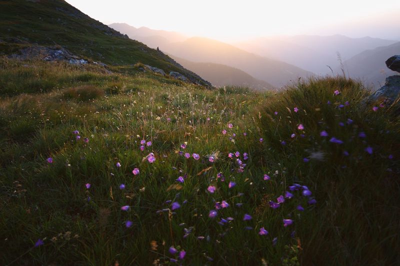 Datei:Glattjoch 1255 13-08-06.jpg