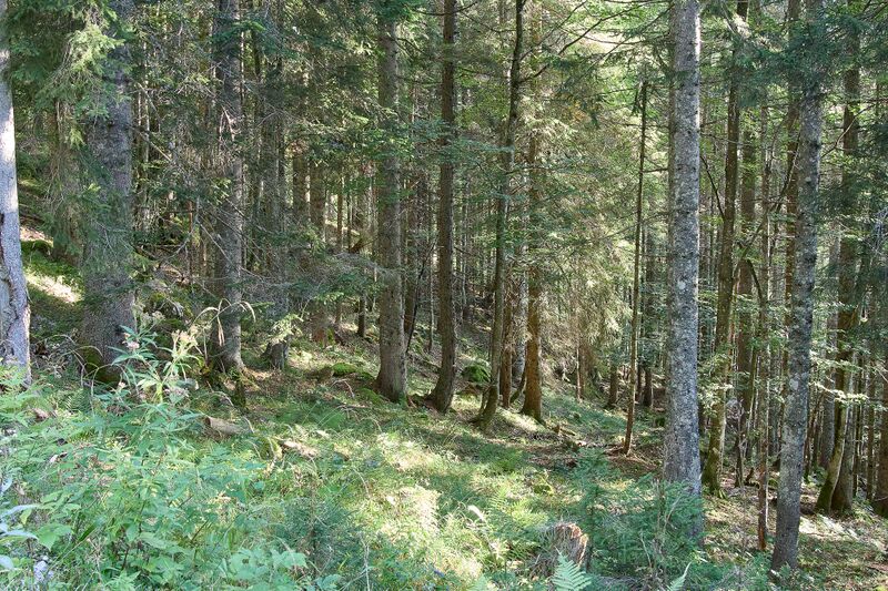 Datei:Grausen Straßen-BA-0052-2023-09-17.jpg