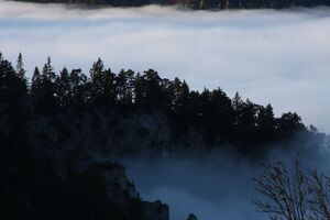 Halseralm-rittis 80069 2014-12-05.jpg