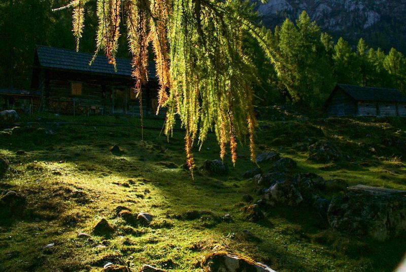 Datei:Kammalm 40597 2012-10-05.jpg