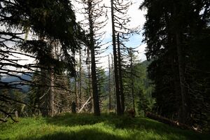 Knallkar großsölk 55645 2016-08-17.jpg