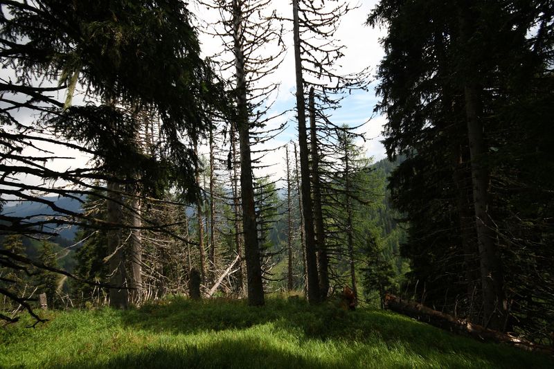 Datei:Knallkar großsölk 55645 2016-08-17.jpg