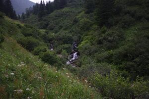 Mößnakarbach 1310 13-07-12.jpg