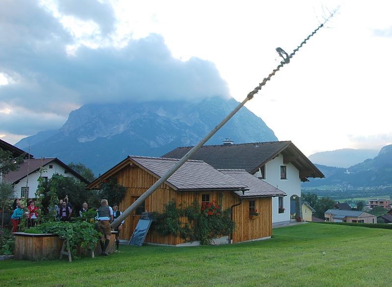 Datei:Maibaum-Umschneiden 05.JPG