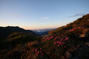 Nageleck sunrise 27434 2010-08-11.jpg