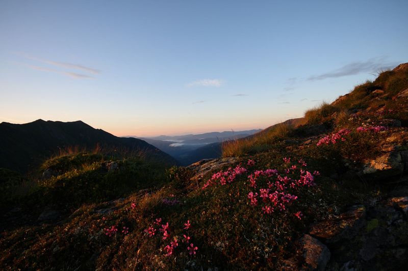 Datei:Nageleck sunrise 27434 2010-08-11.jpg