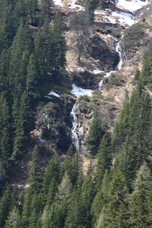 Strickerkar 55620 2014-05-02.jpg