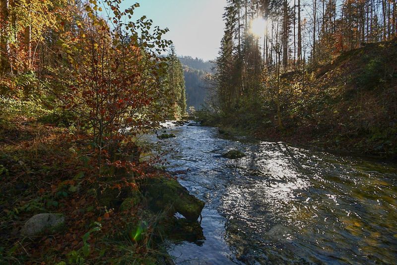 Datei:Toplitzbach 78195 2014-11-03.jpg