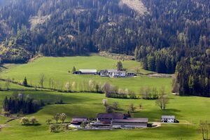 Vlg.längstner-ob vlg strizlberger-30097-2023-05-04.jpg