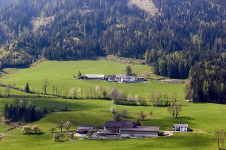 Vlg.längstner-ob vlg strizlberger-30097-2023-05-04.jpg