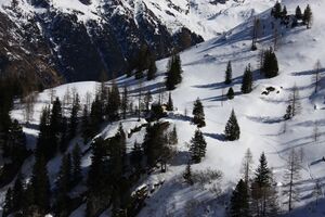 Wildkar 44968 2014-03-09.jpg