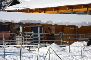 Zechmannhof ramsau 17467 2016-01-18.jpg