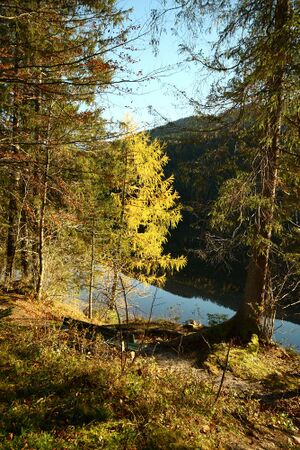 Ödensee 77975 2014-11-03.jpg