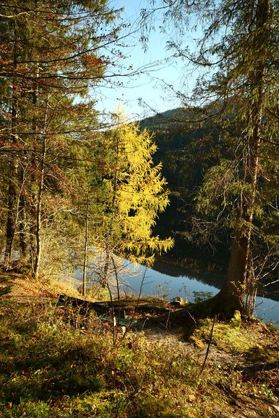 Datei:Ödensee 77975 2014-11-03.jpg