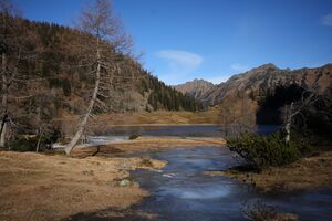 Duisitzkarsee 14365 2011-11-30.jpg