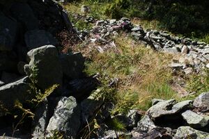 Eiskaralm 02143 2015-09-11.jpg