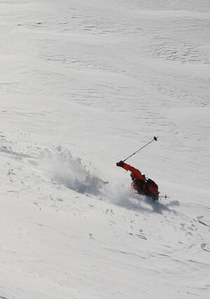 Elendbergrinne 2883 2009-04-26.jpg