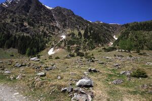 Sattental 45878 2017-05-19.jpg