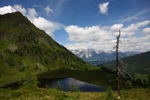 Schobersee 93161 2015-06-26.jpg