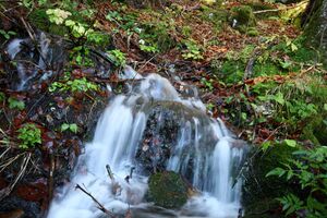 Siebenbrunnen toplitzsee 78190 2014-11-03.jpg
