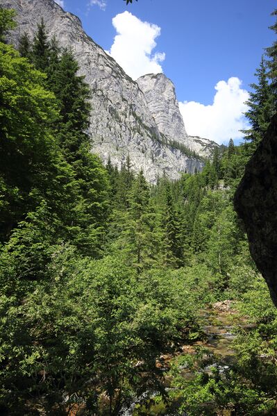 Datei:Siniweler zimitzalm 77824 2018-06-04.jpg