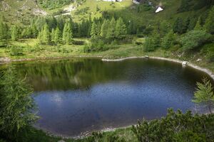 Speicherteich Reiteralmsee 65710 2014-06-27.jpg