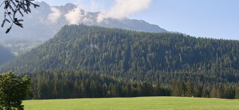 Datei:Spitzerwiese-pechwandl -0470-2024-07-19.jpg