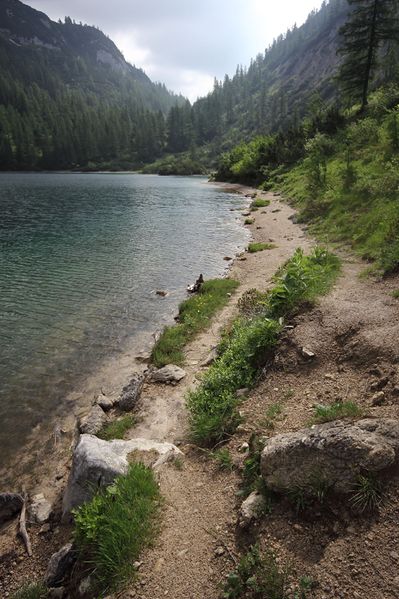 Datei:Steirersee südufer 51327 2017-06-24.jpg