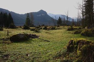 Altaussee seewiese 79058 2014-11-15.jpg