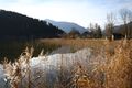 Altausseersee 79309 2014-11-15.jpg