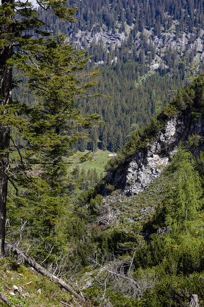 Datei:Eisengraben gerinne 624067-114-2020-05-27.jpg