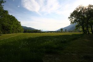 Enns-Altarme Niederstuttern 58378 2014-05-21.jpg