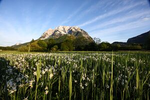 Europaschutzgebiet niederstuttern6133.jpg